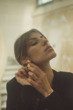 Charger l'image dans la galerie, Paradis